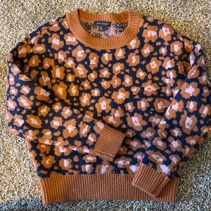 Ann Taylor cheetah print sweater
